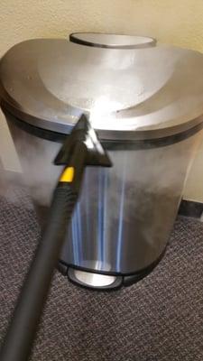 steam and sanitized cleaning