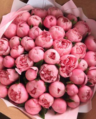 Peonies