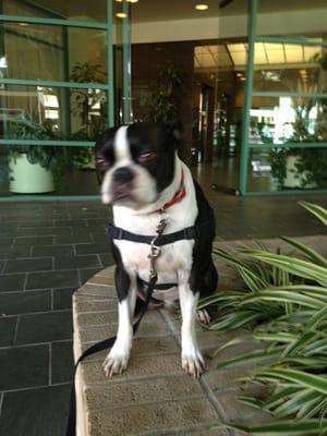 Maddy in front of the entrance.