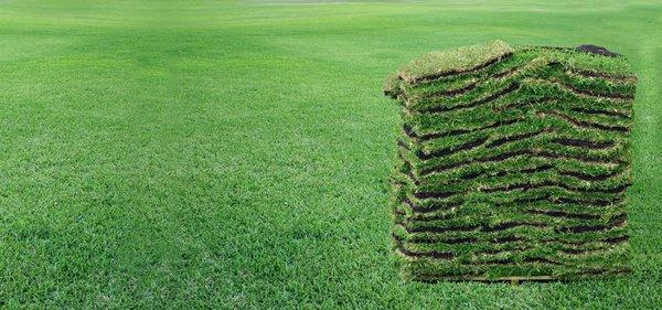 Sod Installation