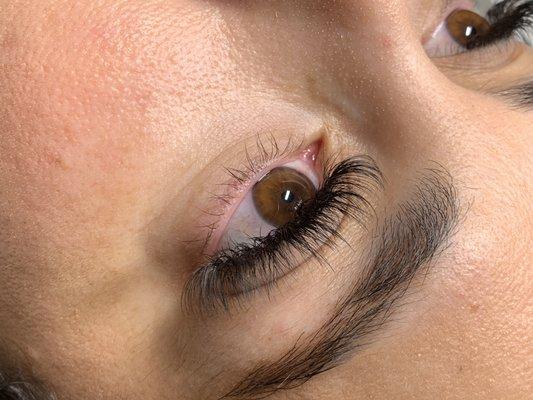 Volume Lash Extensions