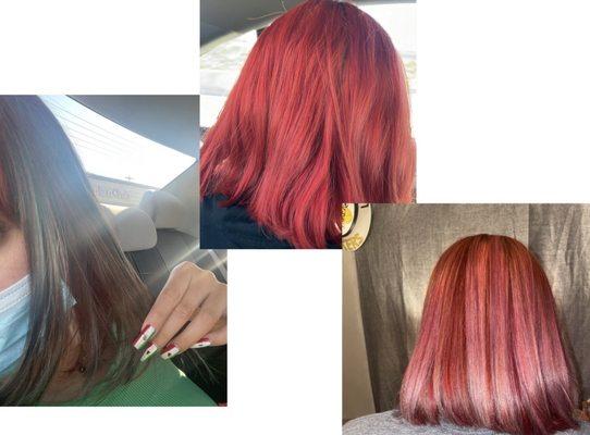 1pic is the dark hair I was left with  3 pic I had to go to someone else sit in there chair for 8 hours to get the dark looking color out