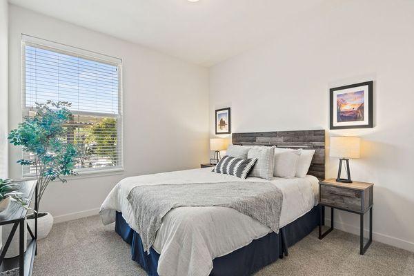 Bright and Spacious Bedroom