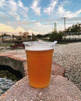 SQUARE GROUPER IPA