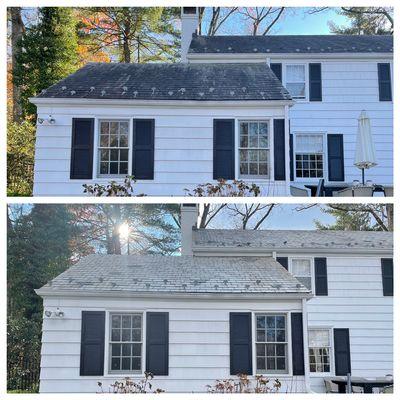 SoftWash Roof Cleaning (Slate Roof)