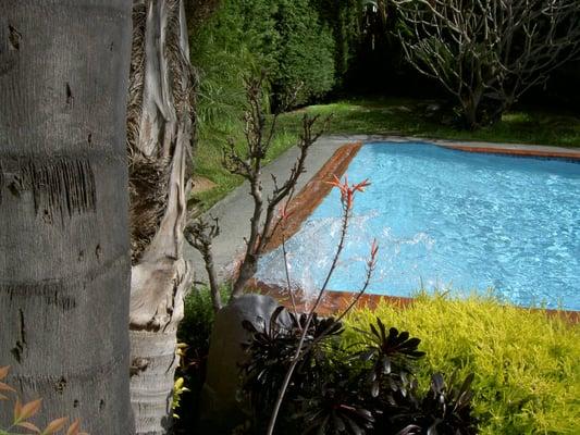 Just another California quake to make a wave pool. This was after settling down a few moments, flooding a portion of the yard.