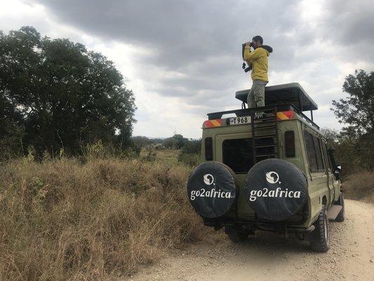 Safari in Tarangire, travel insurance through David Kanefsky Insurance Agency 303-431-9490 amazing experience!