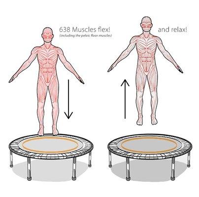 Bouncing assist in the lymphatic system and connective tissue. Our massage assists with this as well. Creating and great partnership.