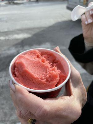 Watermelon sorbet