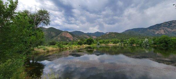 Picture from the fishing pond