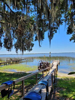 Airboat ride and alligator tours