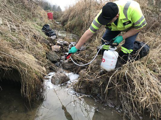 Environmental Clean-up!