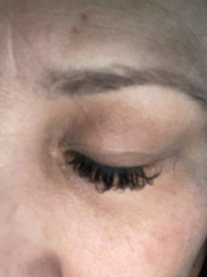 The outside corner has NO lash extensions. This picture was taken 2 days after the application.