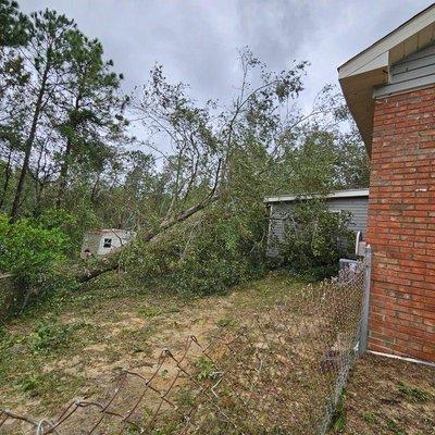 Tree on house