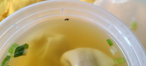 Really gross bug in the soup. Clean up your restaurant please. Disgusting and won't be going back.