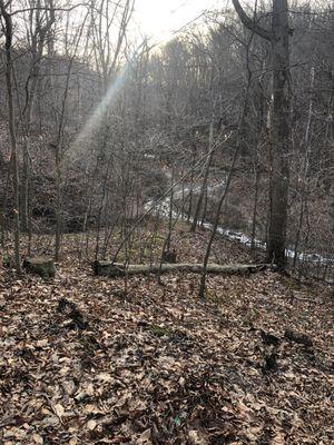 Twisty trail, Adams Run