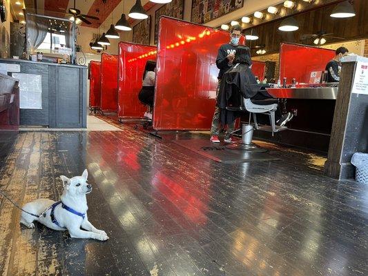 Luke waiting for his mommy and sister getting their haircuts. Each chair is turned into a booth for COVID-19