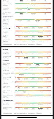 This is a screenshot of the functional blood chem analysis you can get.