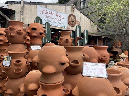 Pots galore to grown your strawberries or herbs