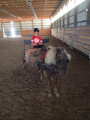 Learning to drive a horse and buggy