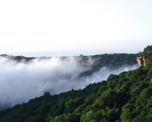 Eye level amongst the clouds.