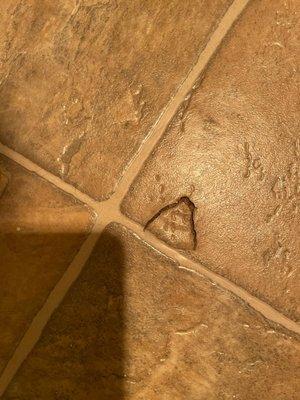 A crack in the floor in my bathroom when we first moved in