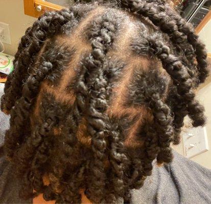 Two-strand twist starter locs