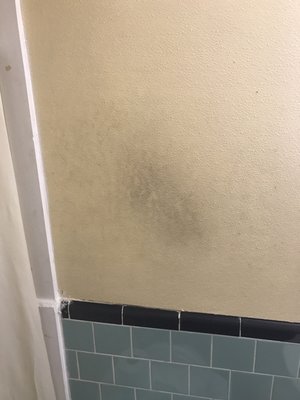 Mystery stain above the toilet.  Perhaps a murder victim?