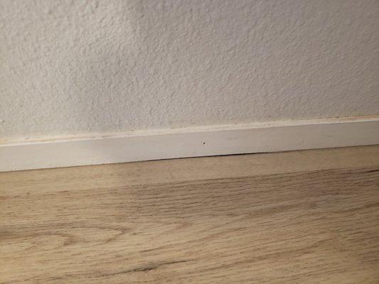 Gap between floor and trim