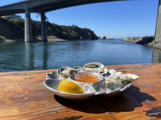 Pacific oysters