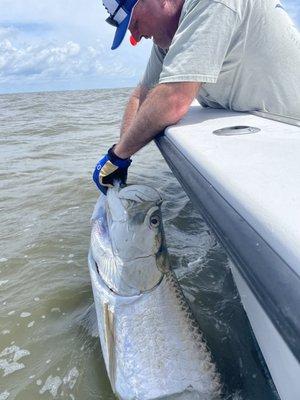 Tarpon