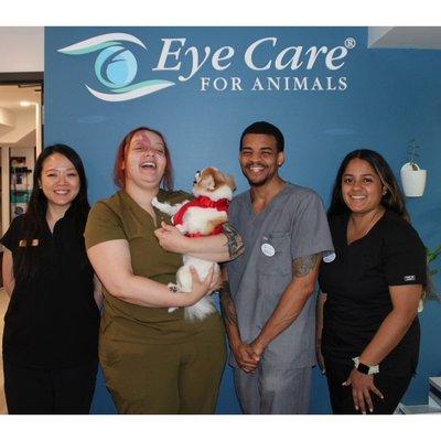 Eye Care for Animals - New York