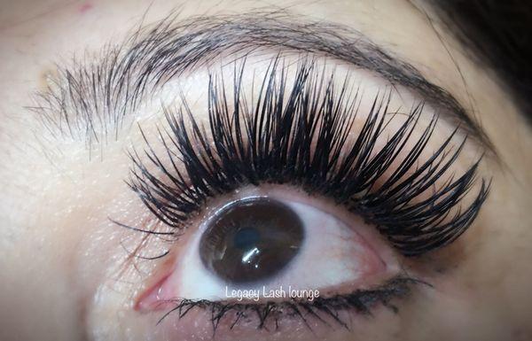 Elite Signature lashes (In-between of natural and full volume) Very Popular.