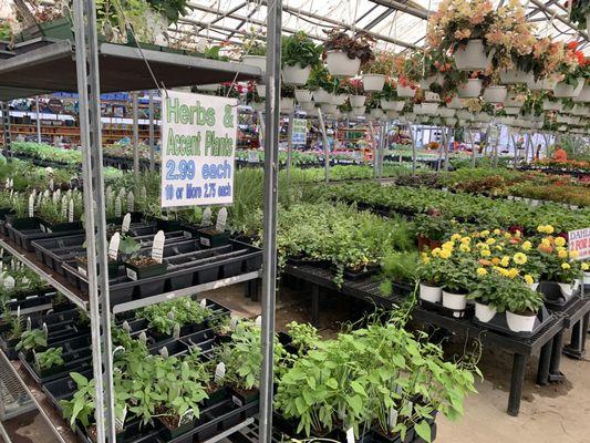 They don't have a gigantic volume of things, but how many tomato plants do you need to buy anyway? And, look at how cheap the prices are.