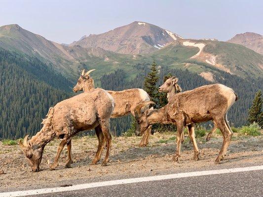 Some friendly folk along the road.