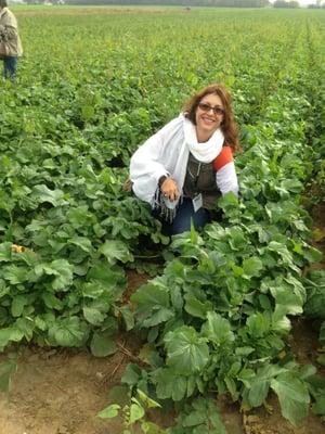 Linda at the Standard Process organic farm in Palmyra, Wisconsin. These radishes will become part of our whole food supplements