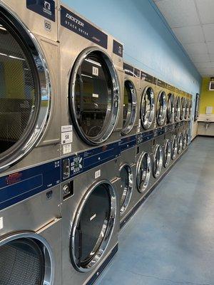 Abundant dryers, some of them reverse.