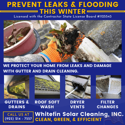 Prevent Leaks & Flooding with Thorough Gutter Cleaning