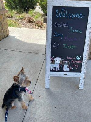 Welcome sign