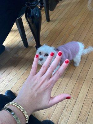 My mani (and my dog lol )