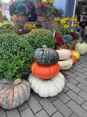 Blanchard’s Blossoms and Garden Center