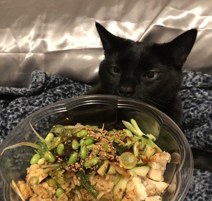 Spicy chicken poke bowl