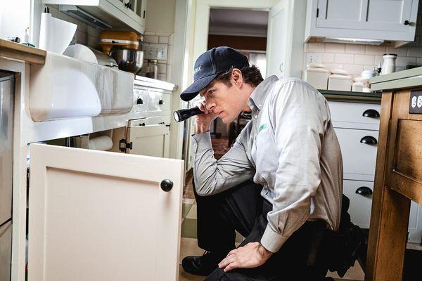 Each season brings news pests -- and a Terminix® technician to stop them in their tracks.