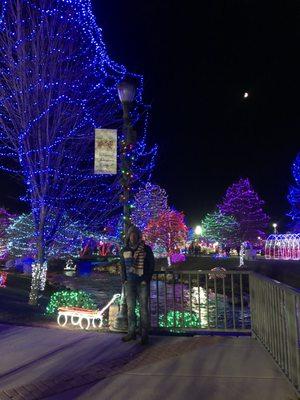 Winter Wonderland lights