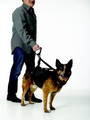 The Help 'Em Up Harness Walking Leashes make it even easier to walk your dog using the harness.