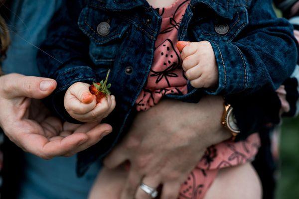 Baby squishes a strawberry in her hands while picking berries at the farm.