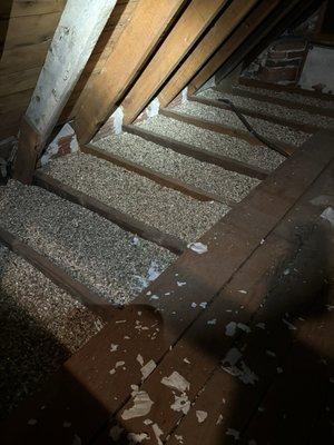 Vermiculite in an attic. Before removing