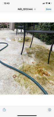 Pool area with algae