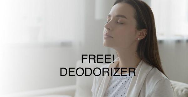 FREE deodorizer including with every Cleaning!