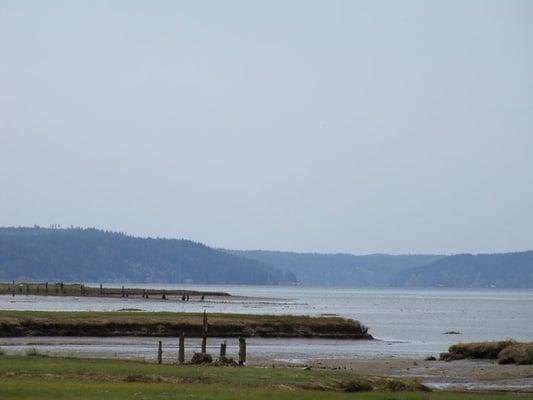 Walking the Wetlands...